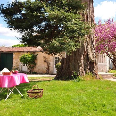 Bed and Breakfast Le Logis Du Plessis Chaniers Экстерьер фото
