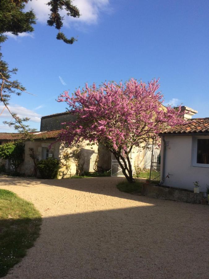 Bed and Breakfast Le Logis Du Plessis Chaniers Экстерьер фото